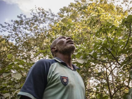 combat deforestation combat deforestation