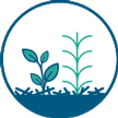 Cover crops icon Cover crops icon