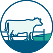 Grazing management icon Grazing management icon