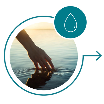 The Jojoba Promise - Sustainable Water Use The Jojoba Promise - Sustainable Water Use