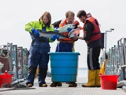 A fish farmer in Vietnam feeds his/her fish with feed produced by Cargill in Norway. A fish farmer in Vietnam feeds his/her fish with feed produced by Cargill in Norway.