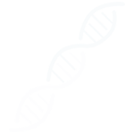 Feed Additive - Icon - Nutritional and Microbiome Expertise Feed Additive - Icon - Nutritional and Microbiome Expertise