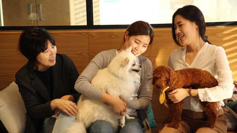 A woman holds a dog while she shops for pet food in a store. A woman holds a dog while she shops for pet food in a store.