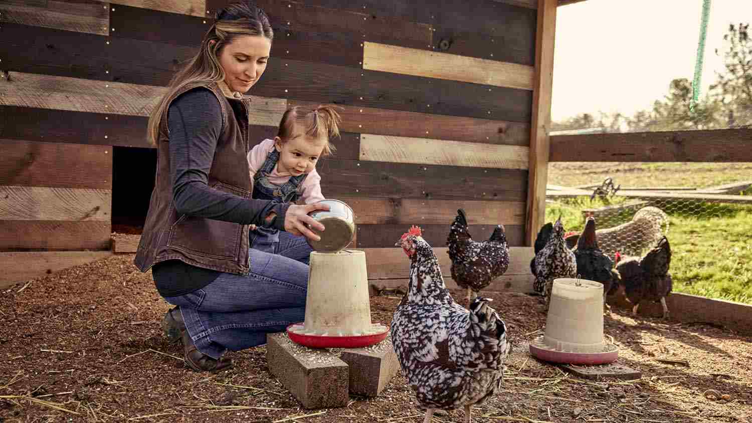 A woman feeds birds while carrying a child in a chicken coop on a farm. A woman feeds birds while carrying a child in a chicken coop on a farm.