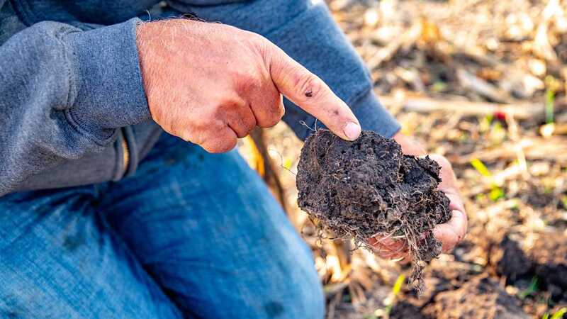 A farmer is holding and pointing at a chunk of soil on his farmland. A farmer is holding and pointing at a chunk of soil on his farmland.