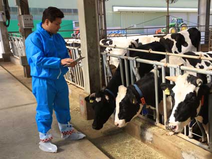 A Cargill scientist looks at feed in front of several cows, part of research to reduce methane CH4. A Cargill scientist looks at feed in front of several cows, part of research to reduce methane CH4.