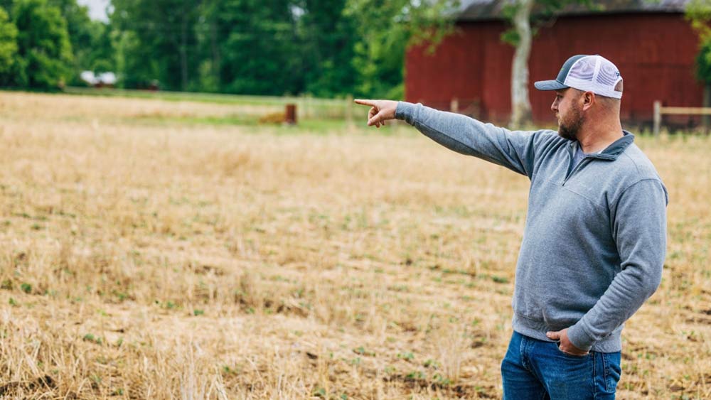 A farmer stands in a field where crops are grown with sustainable agriculture practices like cover crops