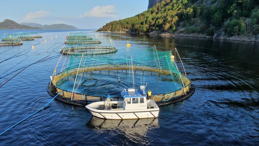 A boat next to an aquaculture farm. 