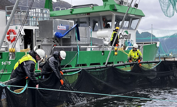 Several Cargill employees working on a salmon fishing boat.  Several Cargill employees working on a salmon fishing boat.