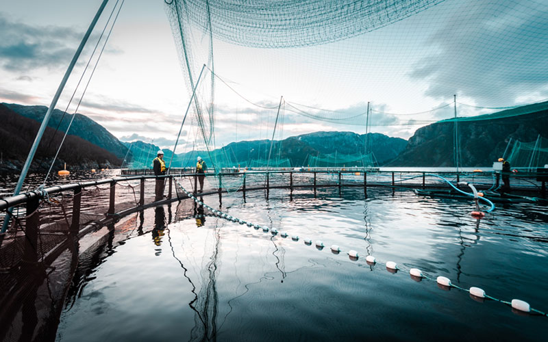 Cargill Aqua Nutrition Sustainability Report 2023