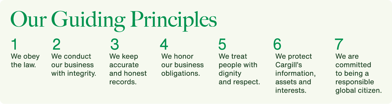 Guiding Principles  Guiding Principles