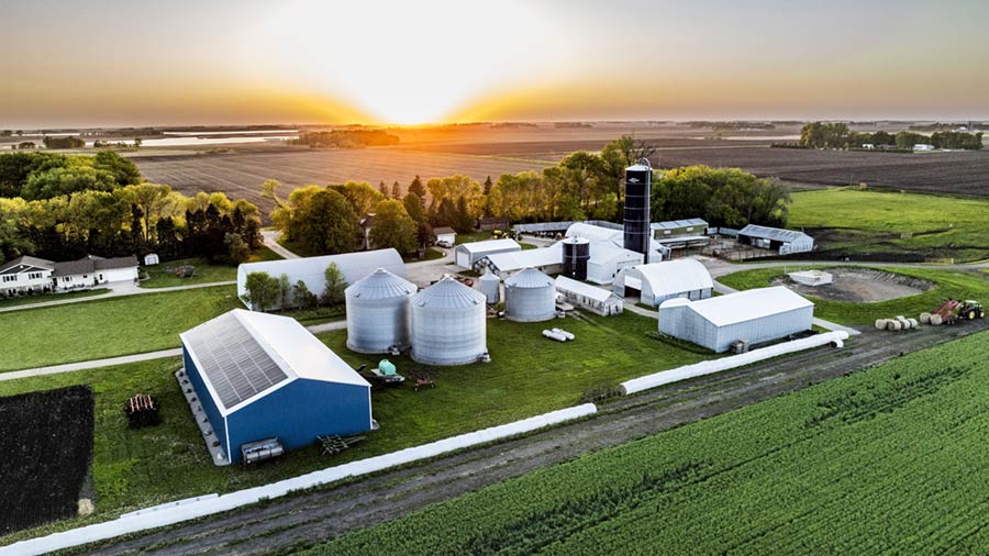An aerial shot of a farm growing camelina that will produce camelina oil. 