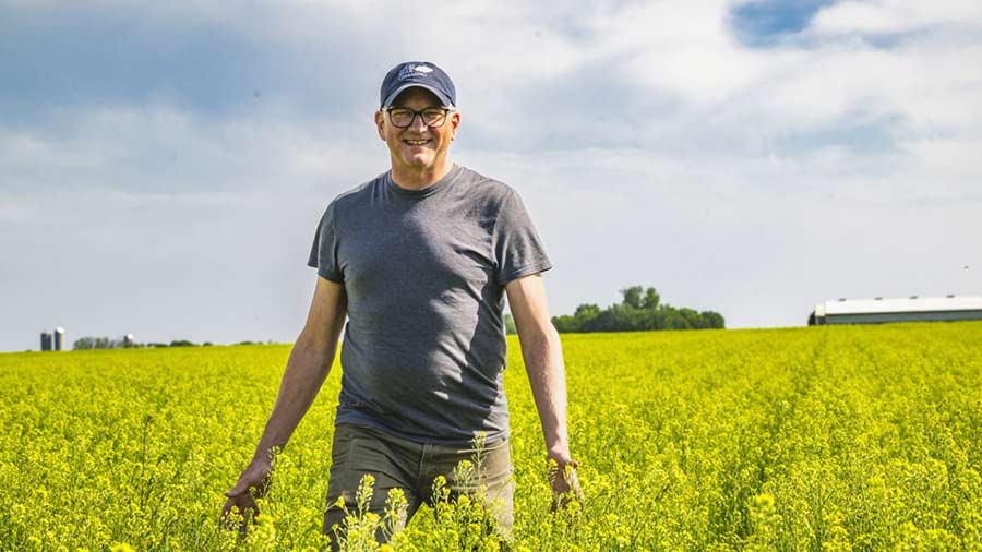 A farmer walks in a field of flowering camelina. 