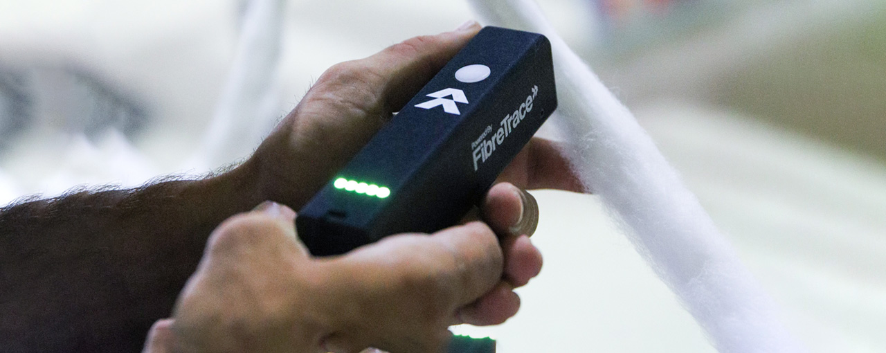 The sun shines down on a field of cotton.  The sun shines down on a field of cotton.