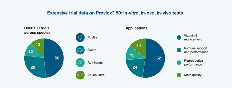 Proviox Screen