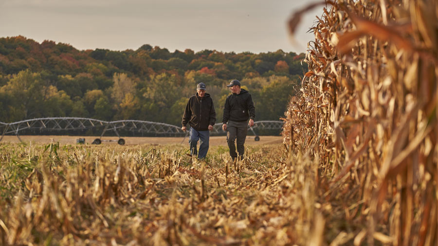 Two farmers in a field kneel down to look at their crops grown with regenerative agriculture practices.  Two farmers in a field kneel down to look at their crops grown with regenerative agriculture practices.