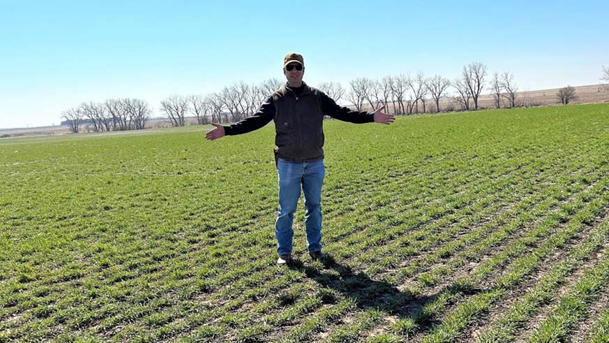 A farmer stands with his arms spread in the middle of a large field of green.   A farmer stands with his arms spread in the middle of a large field of green.