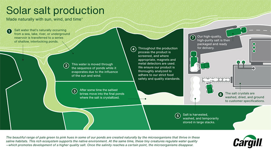 how sea salt is made how sea salt is made