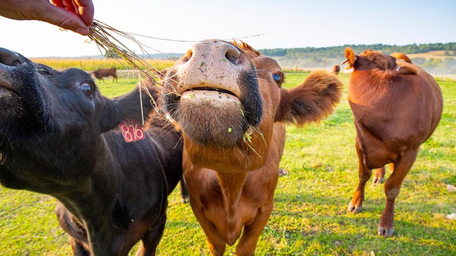 What is methane? Why it matters and what we’re doing to reduce it. What is methane? Why it matters and what we’re doing to reduce it.