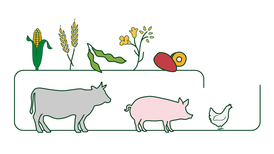 An infographic showing how your food is grown and produced. An infographic showing how your food is grown and produced.