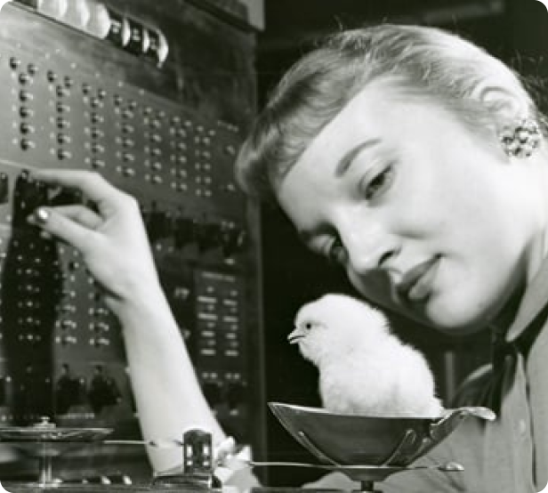 About - Our history About - Our history