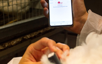 Transforming Poultry with Digital Solutions - Promo Image