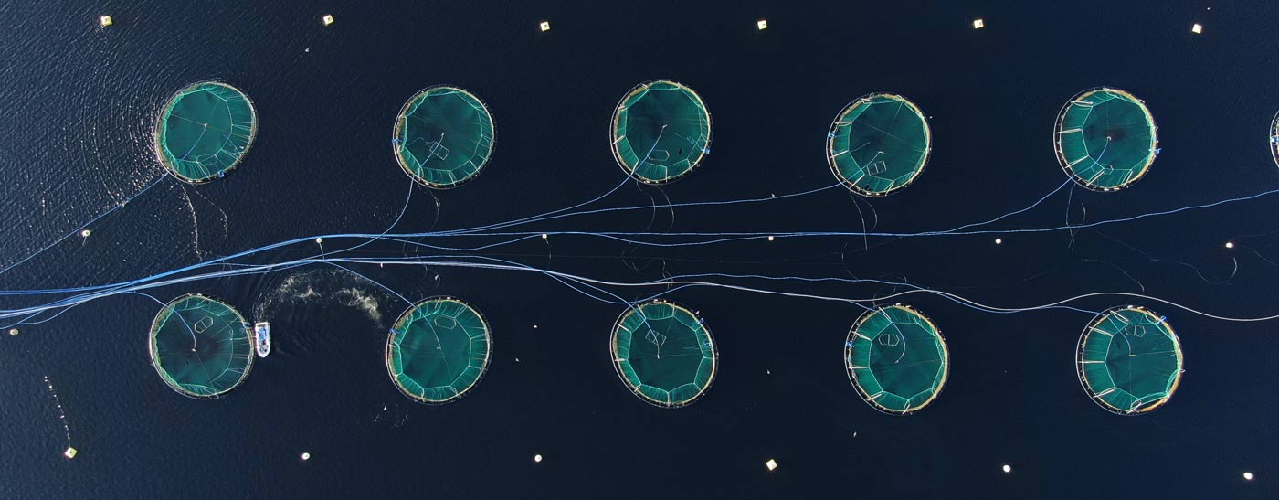 Our performance in 2024