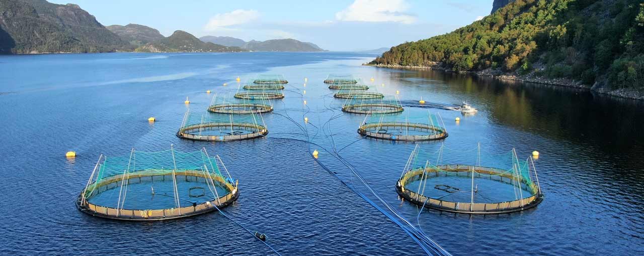 Our approach to sustainability