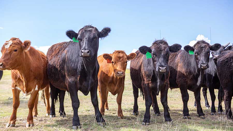 What is methane? Why it matters and what we’re doing to reduce it. What is methane? Why it matters and what we’re doing to reduce it.