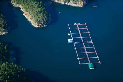 Partnerships Partnerships