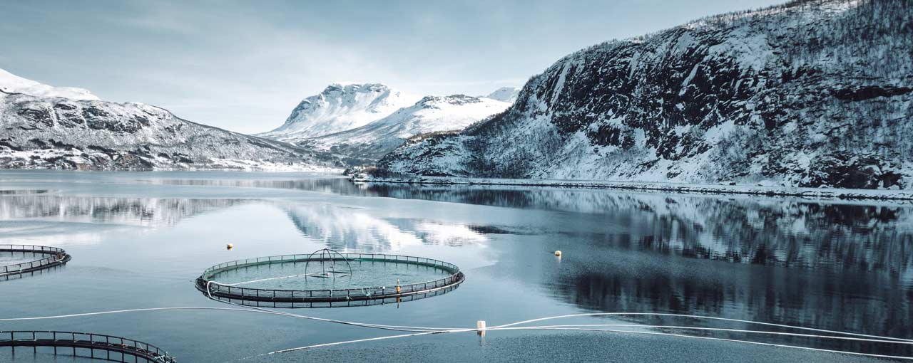 Climate change Climate change