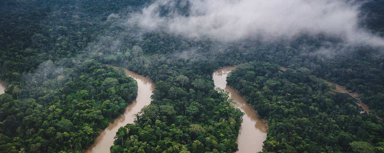 Deforestation Deforestation