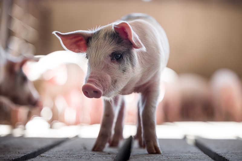 Connecting a food secure world Connecting a food secure world