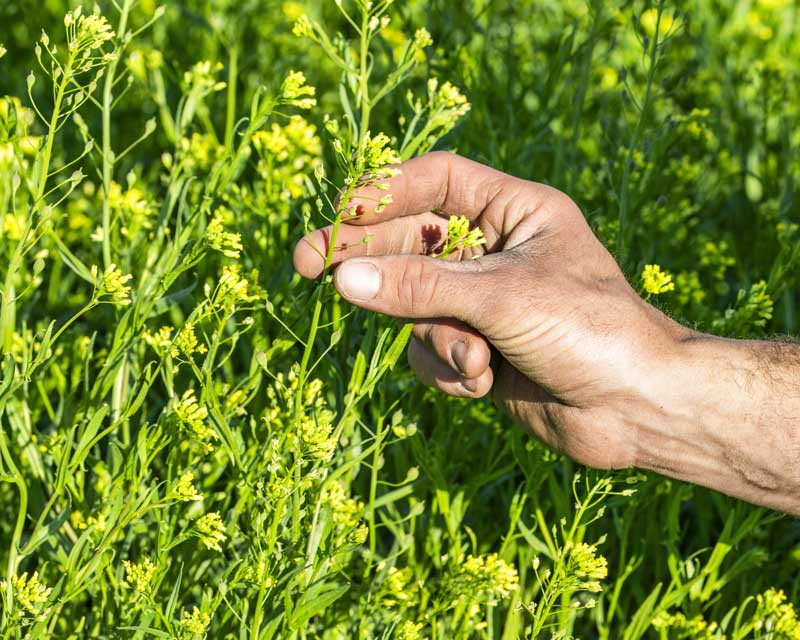 Connections that grow Connections that grow