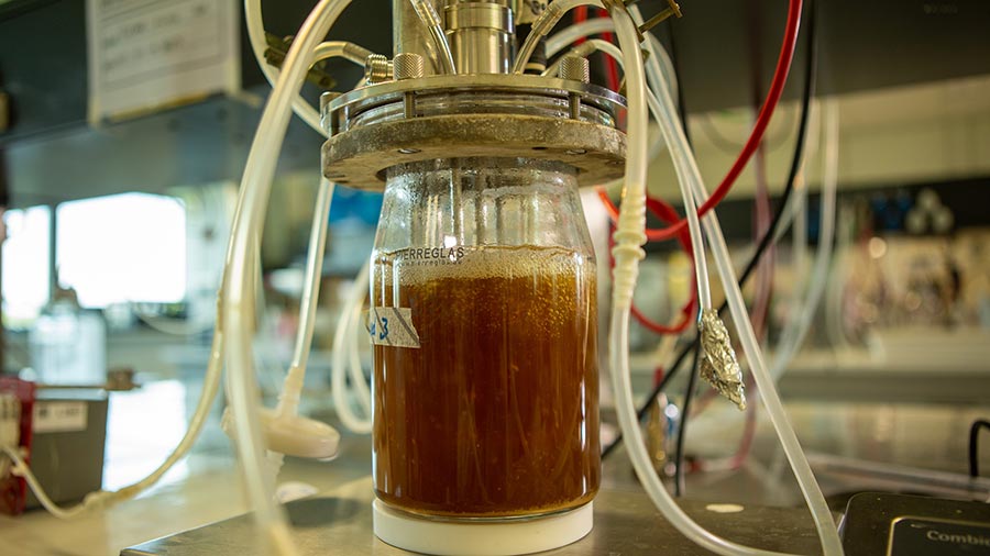 A clear bottle with brown liquid fermenting inside.  A clear bottle with brown liquid fermenting inside.