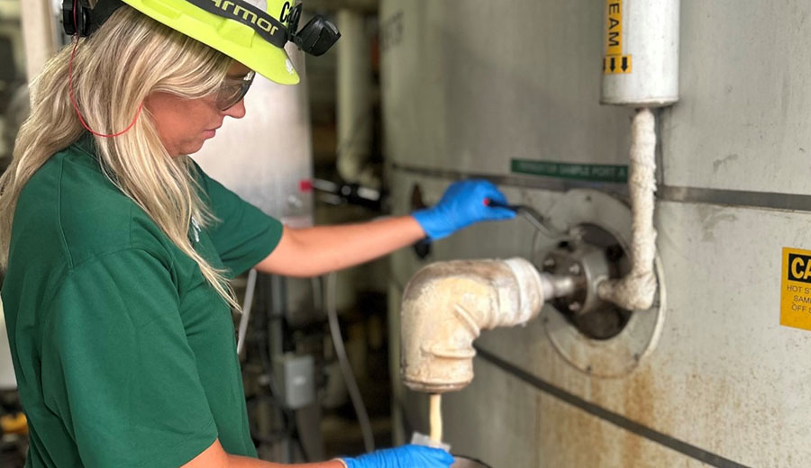 fermentation-explained-cargill fermentation-explained-cargill