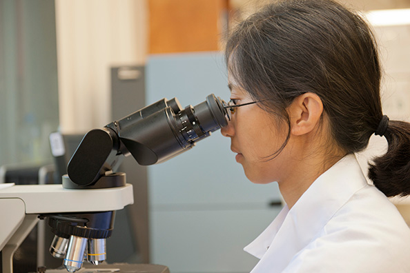 A woman wearing glasses and a white lab coat looks into a microscope.  A woman wearing glasses and a white lab coat looks into a microscope.