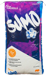 Sunglo Sumo